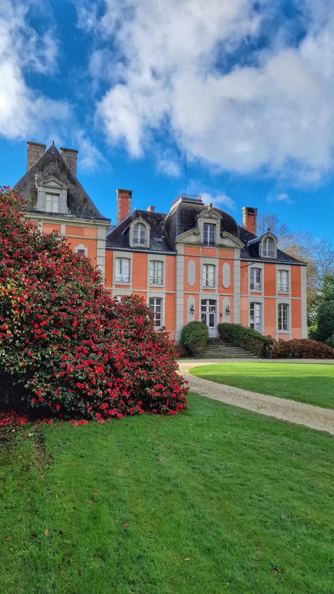Chateau De Chantore Bacilly Kültér fotó