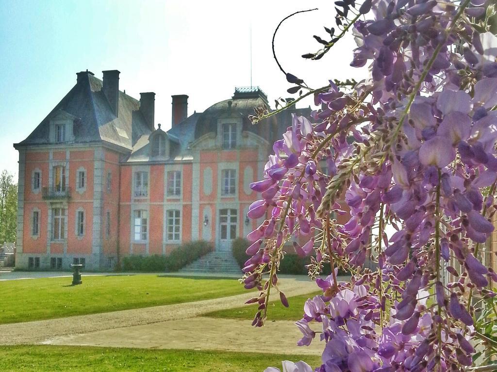 Chateau De Chantore Bacilly Kültér fotó